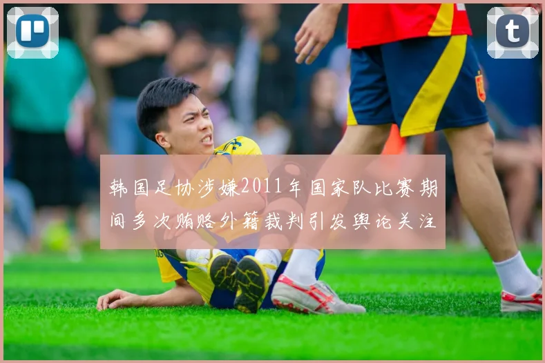 韩国足协涉嫌2011年国家队比赛期间多次贿赂外籍裁判引发舆论关注